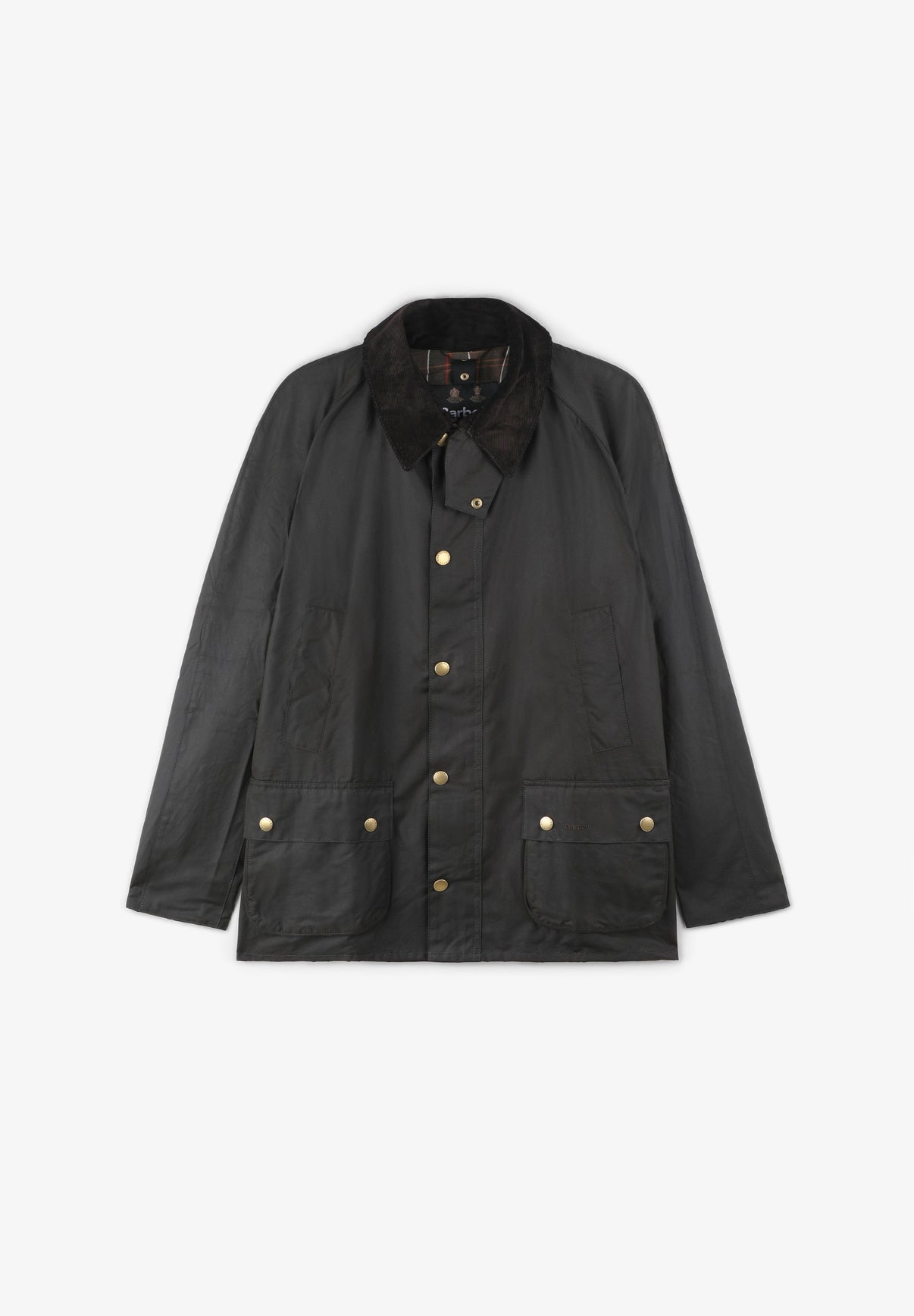 BARBOUR | CHAQUETA ASHBY - Scalpers