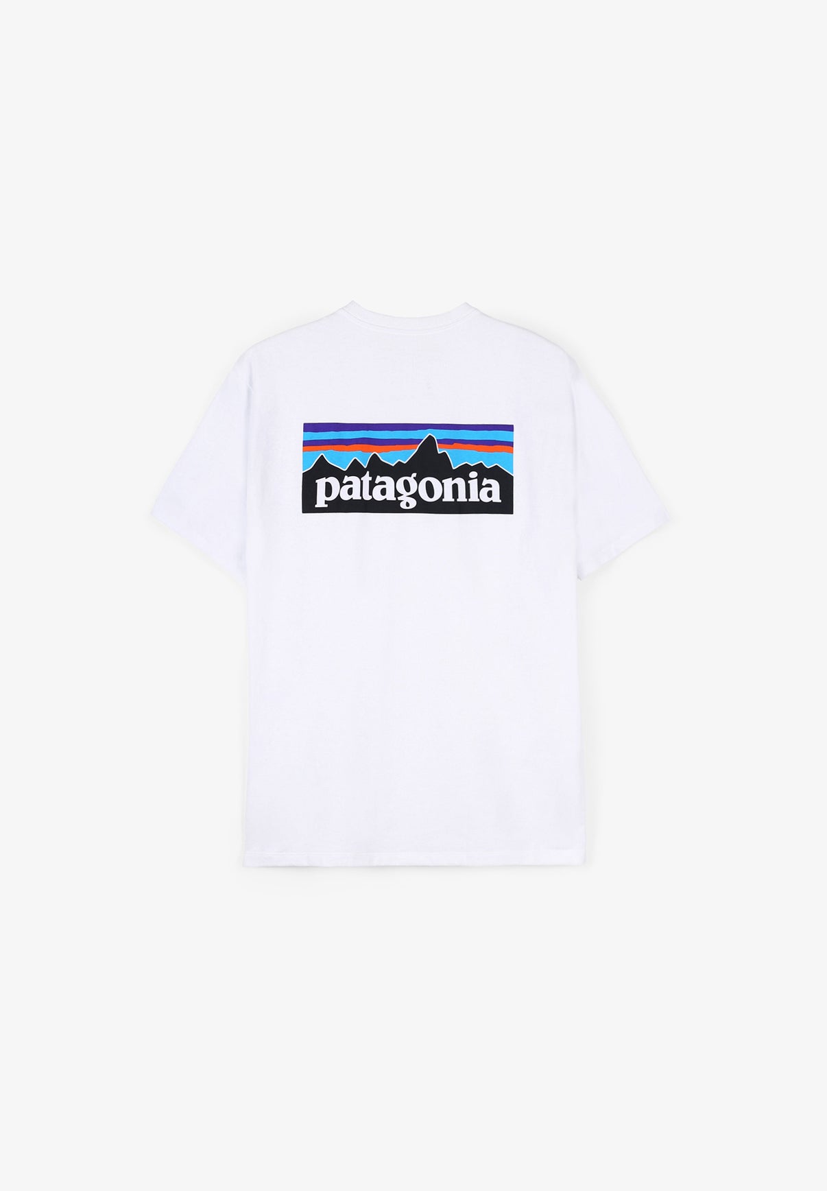 PATAGONIA | CAMISETA P-6 LOGO HOMBRE - Scalpers