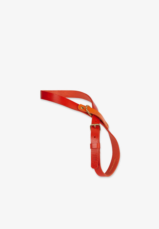 ARNÉS NARANJA & ROJO