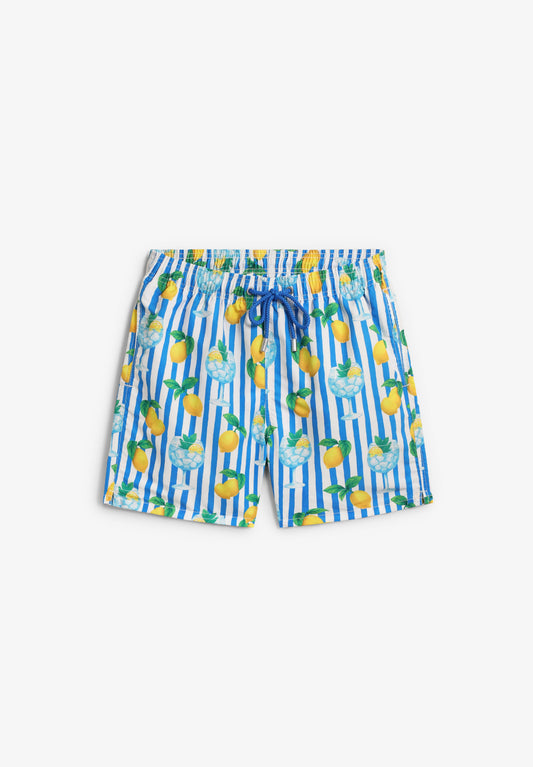Gin and Tonic Lemon Stripes